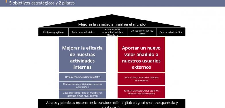 La relación de apoyo mutuo entre la transformación digital y el Observatorio de la OIE