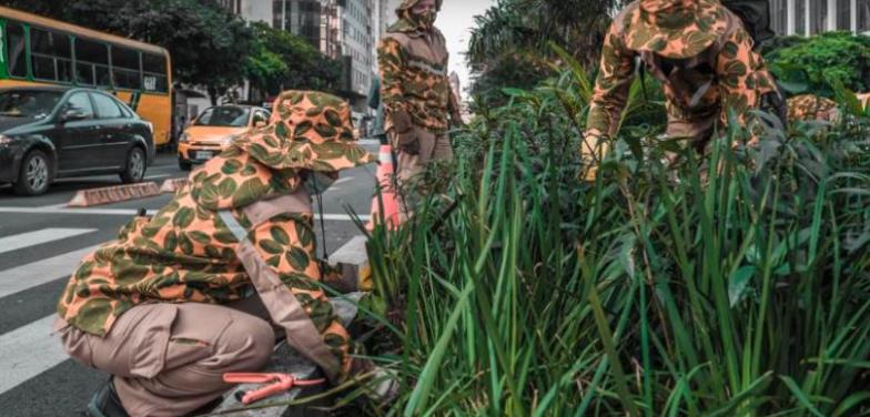 Hasta el 4 de febrero se recibirán ideas para mejorar la gestión y mantenimiento de zonas verdes de Medellín