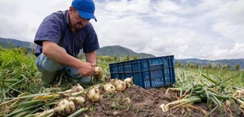 BID Invest invertirá US$10 millones en la industria de agronegocios y alimentos