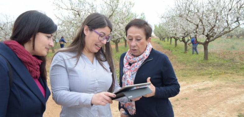 Abren convocatoria del Laboratorio CAF de Inclusión Financiera 2022