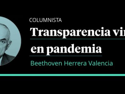 Transparencia virtual en pandemia