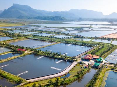 Government of Canada announces over $5M in clean tech funding for British Columbia Fisheries and Aquaculture Projects
