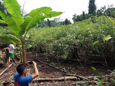 Con tecnología satelital indígenas amazónicos podrían reducir deforestación