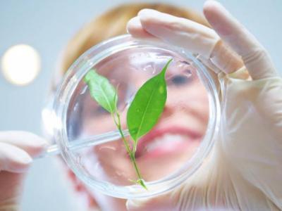 Minciencias abre convocatoria para investigaciones en temas ambientales