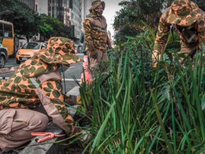 Hasta el 4 de febrero se recibirán ideas para mejorar la gestión y mantenimiento de zonas verdes de Medellín