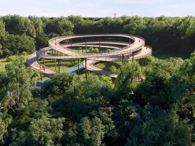 Colombia – ¿Qué son las Biodiverciudades?