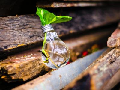 Los desafíos de sostenibilidad latinoamericana y el “Agro del Futuro” del Premio Avonni