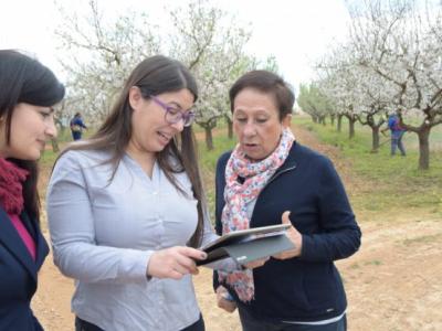 Abren convocatoria del Laboratorio CAF de Inclusión Financiera 2022