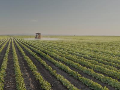 Desde MiLAB, en alianza con el Ministerio de Ambiente y Desarrollo Sostenible y PorkColombia, se implementaron dos pilotos de impacto público con enfoque sostenible