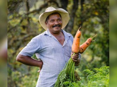 Avanzando unidos hacia la transformación digital