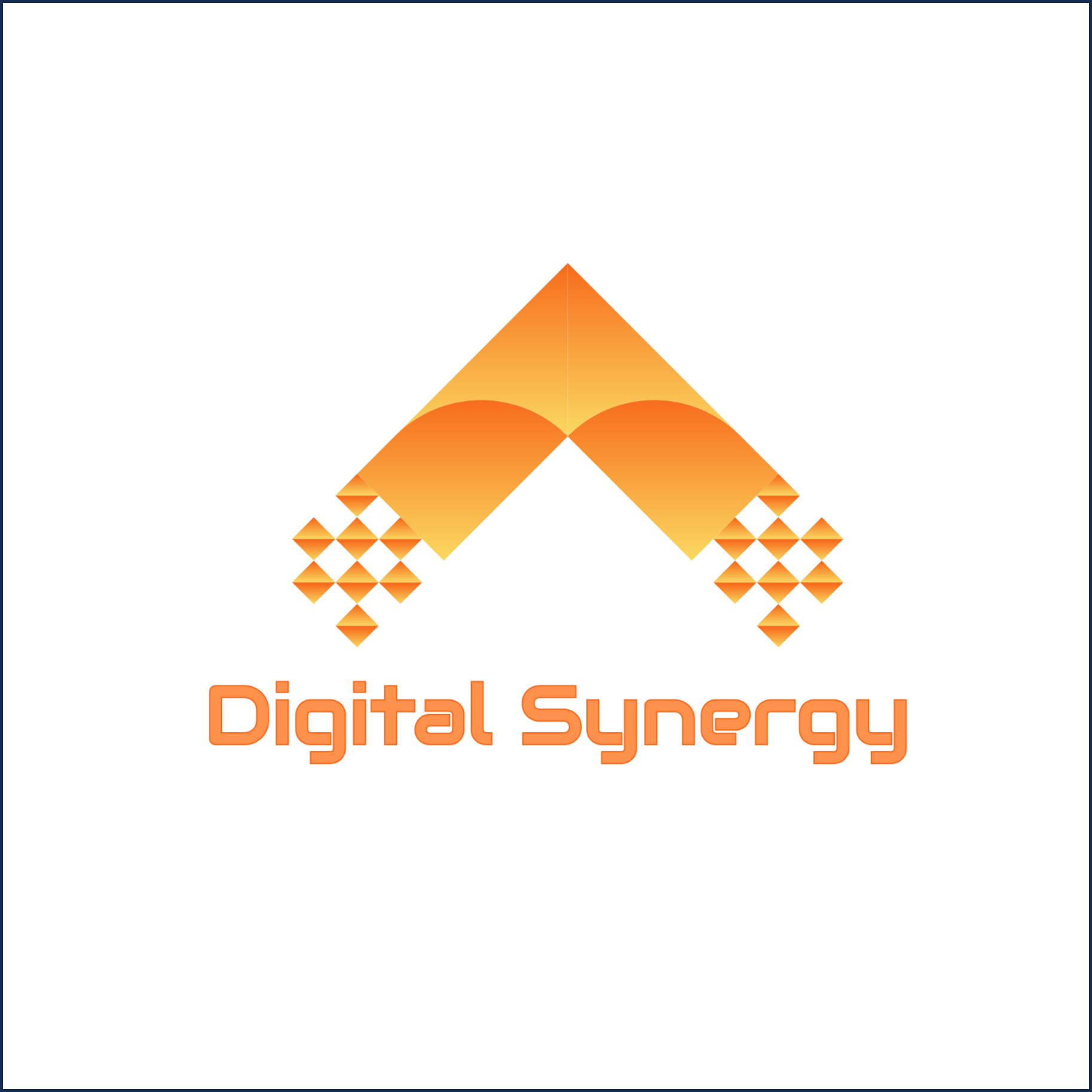 DIGITAL SYNERGY
