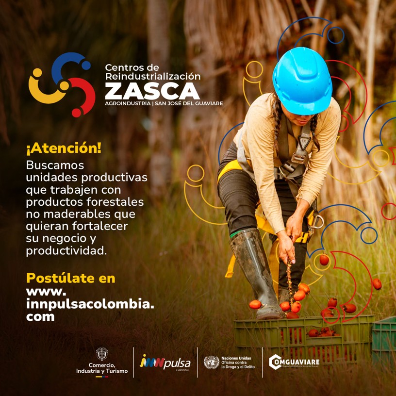 ZASCA Agroindustria | Guaviare | PFNM | Cohorte 1